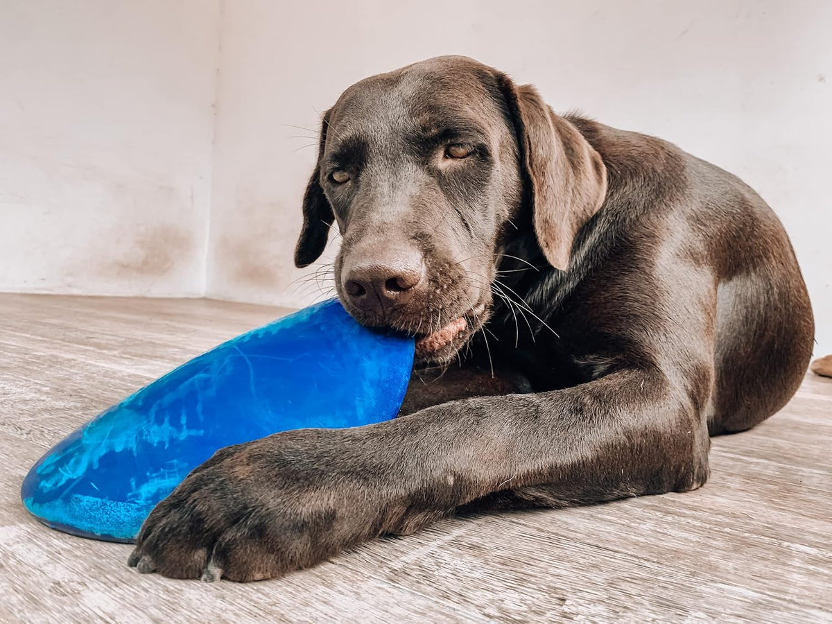 SuperChewer Tough Tug-of-War Flying Disc Toy | Lifetime Replacement | Strong Natural Rubber | Great Tug Disc Fetch Toy for Dogs | Ultra Durable Chew Toys for Aggressive Chewers | For All Breeds
