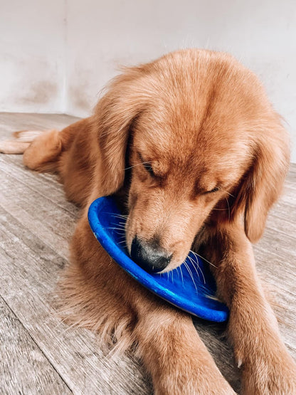 SuperChewer Tough Tug-of-War Flying Disc Toy | Lifetime Replacement | Strong Natural Rubber | Great Tug Disc Fetch Toy for Dogs | Ultra Durable Chew Toys for Aggressive Chewers | For All Breeds