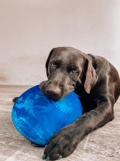 SuperChewer Tough Tug-of-War Flying Disc Toy | Lifetime Replacement | Strong Natural Rubber | Great Tug Disc Fetch Toy for Dogs | Ultra Durable Chew Toys for Aggressive Chewers | For All Breeds