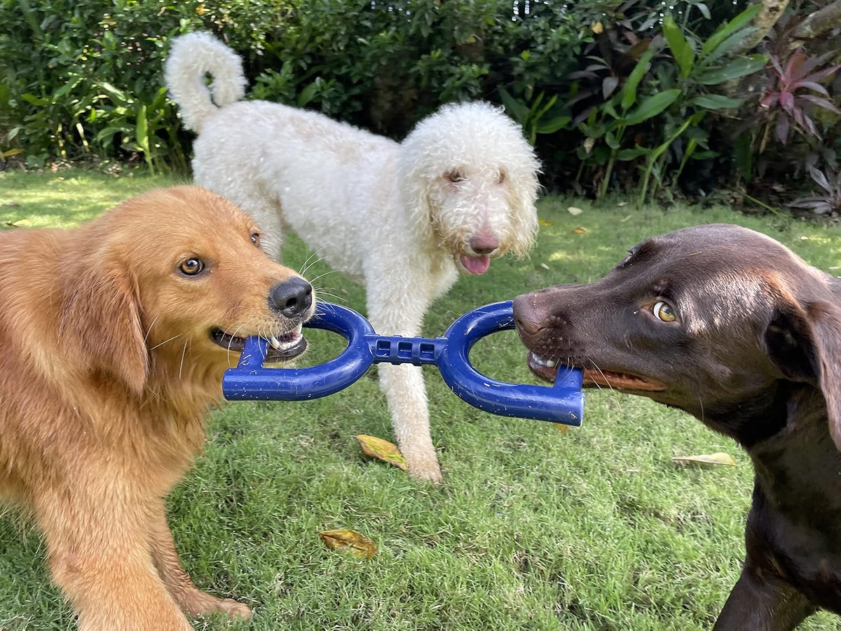 SuperChewer Tough Tug-of-War Flying Disc Toy | Lifetime Replacement | Strong Natural Rubber | Great Tug Disc Fetch Toy for Dogs | Ultra Durable Chew Toys for Aggressive Chewers | For All Breeds