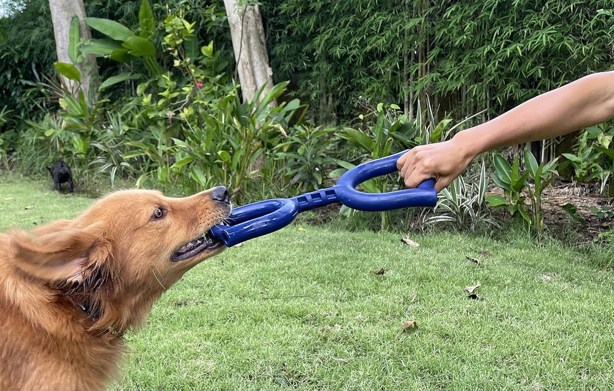 SuperChewer Tough Tug-of-War Flying Disc Toy | Lifetime Replacement | Strong Natural Rubber | Great Tug Disc Fetch Toy for Dogs | Ultra Durable Chew Toys for Aggressive Chewers | For All Breeds