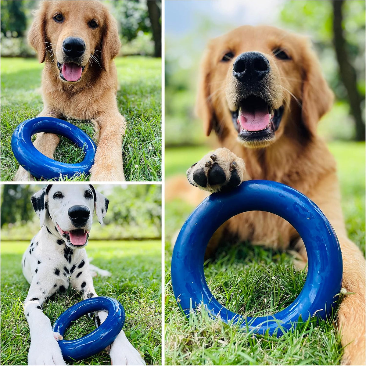 SuperChewer Tough Tug-of-War Flying Disc Toy | Lifetime Replacement | Strong Natural Rubber | Great Tug Disc Fetch Toy for Dogs | Ultra Durable Chew Toys for Aggressive Chewers | For All Breeds