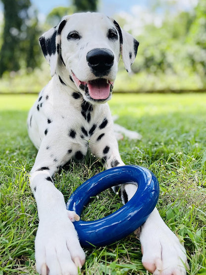 SuperChewer Tough Tug-of-War Flying Disc Toy | Lifetime Replacement | Strong Natural Rubber | Great Tug Disc Fetch Toy for Dogs | Ultra Durable Chew Toys for Aggressive Chewers | For All Breeds