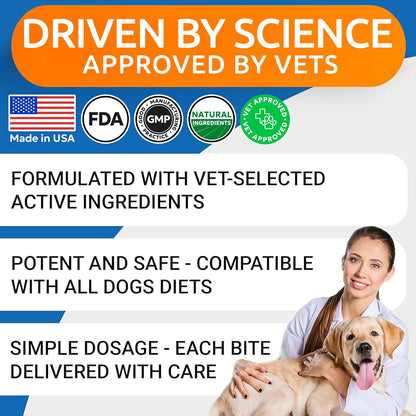 Dog Allergy Relief Chews - Skin Health & Anti-Itch Supplement with Omega-3
