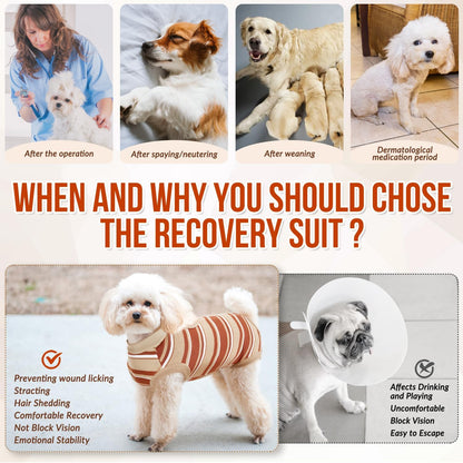 Recovery Suit for Dogs, Onesie Spay Neuter Surgery Suit Female Male