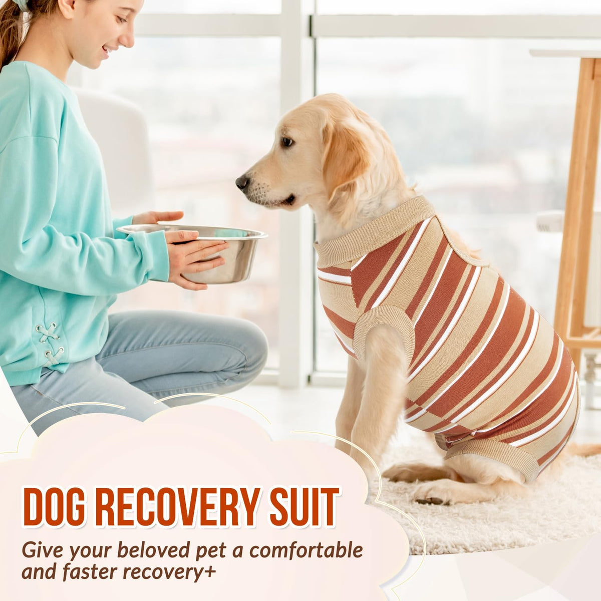 Recovery Suit for Dogs, Onesie Spay Neuter Surgery Suit Female Male