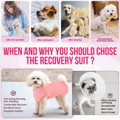 Recovery Suit for Dogs, Onesie Spay Neuter Surgery Suit Female Male