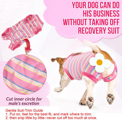 Recovery Suit for Dogs, Onesie Spay Neuter Surgery Suit Female Male