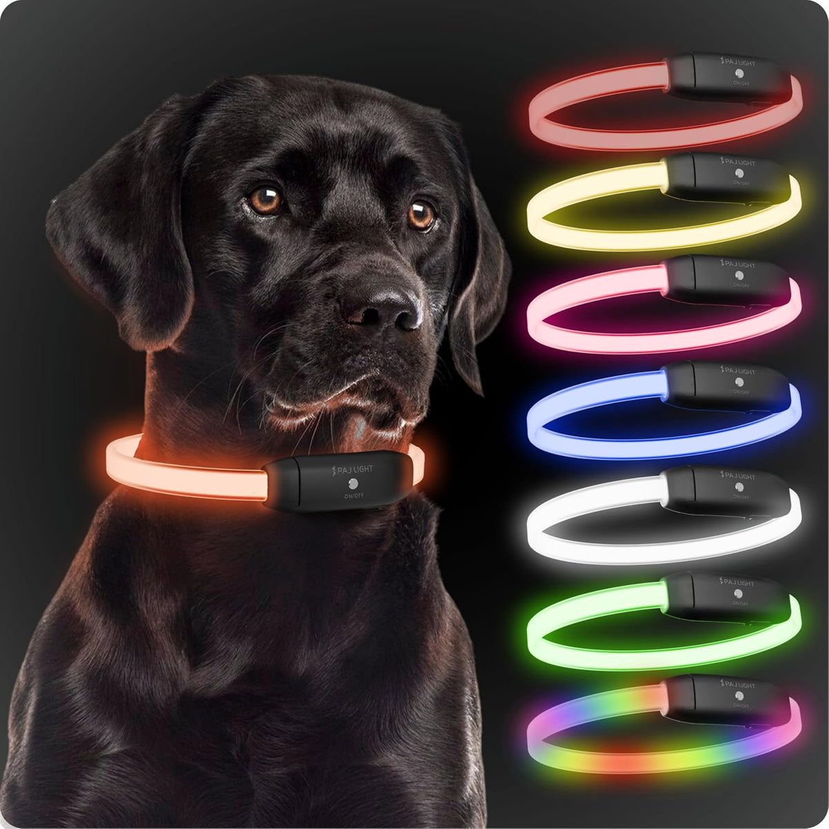 PAJ Light LED Dog Collar for Medium & Large Dogs