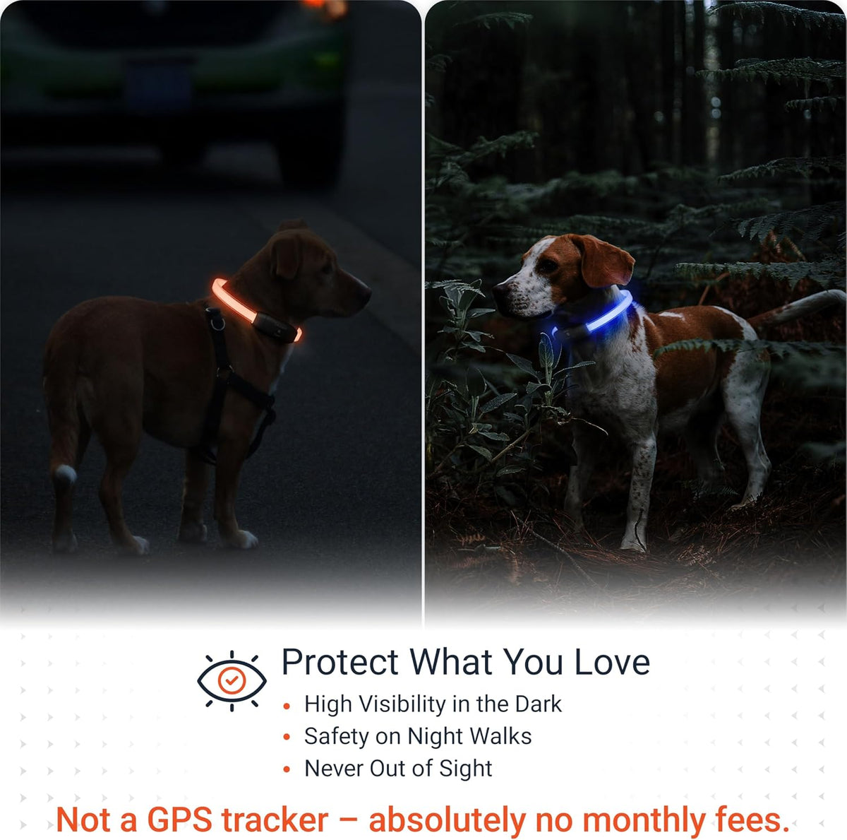 PAJ Light LED Dog Collar for Medium & Large Dogs
