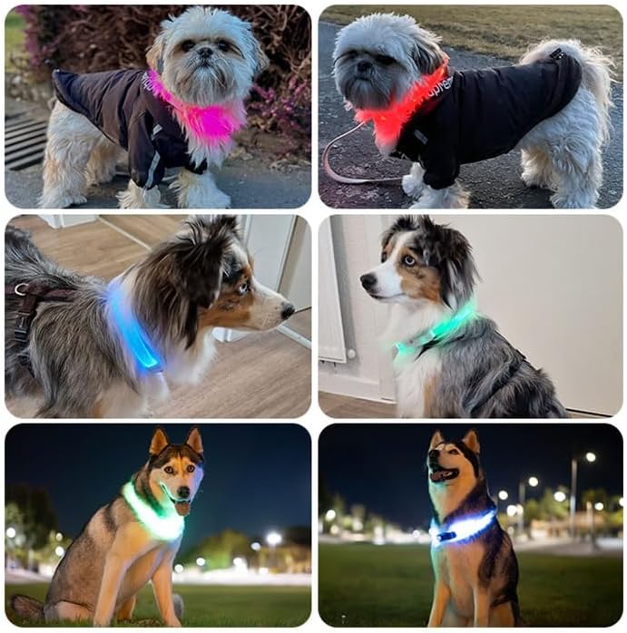 PAJ Light LED Dog Collar for Medium & Large Dogs