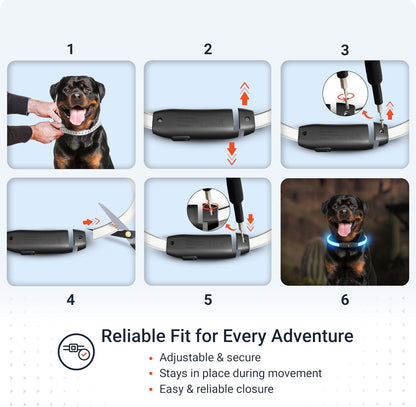 PAJ Light LED Dog Collar for Medium & Large Dogs
