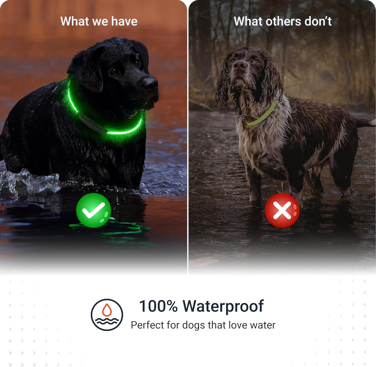 PAJ Light LED Dog Collar for Medium & Large Dogs