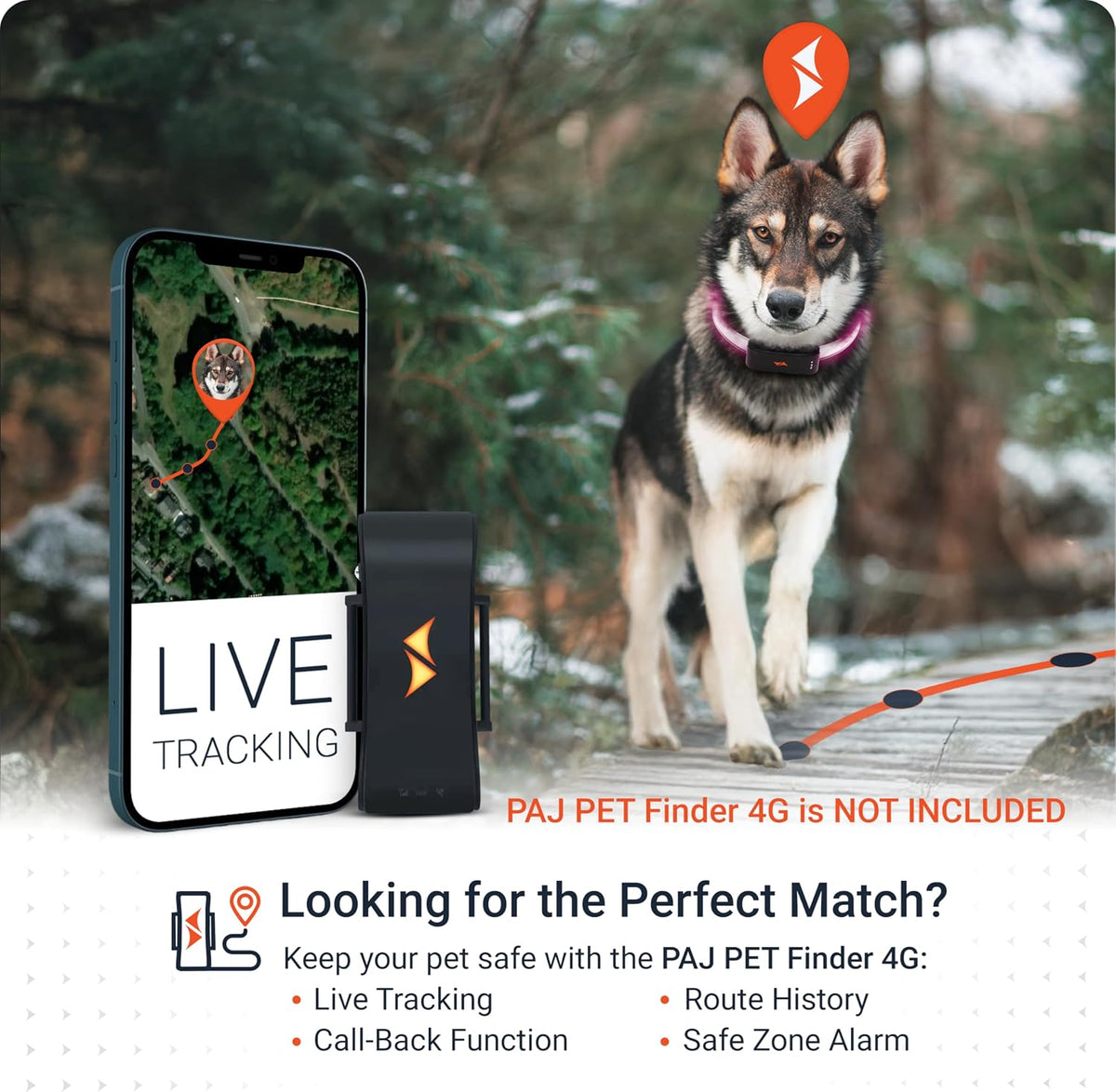PAJ Light LED Dog Collar for Medium & Large Dogs