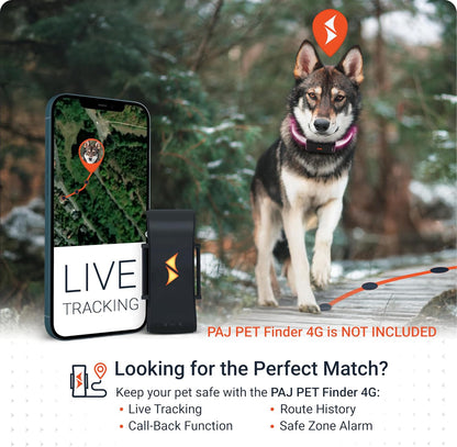 PAJ Light LED Dog Collar for Medium & Large Dogs
