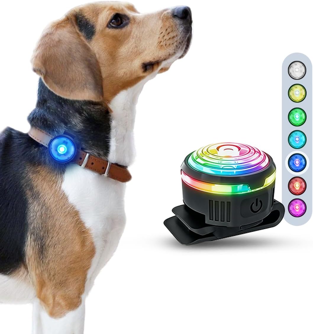 PAJ Light LED Dog Collar for Medium & Large Dogs