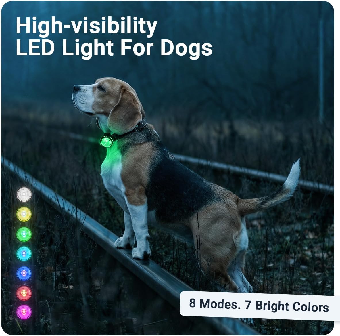 PAJ Light LED Dog Collar for Medium & Large Dogs