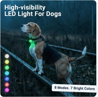 PAJ Light LED Dog Collar for Medium & Large Dogs