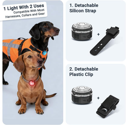 PAJ Light LED Dog Collar for Medium & Large Dogs
