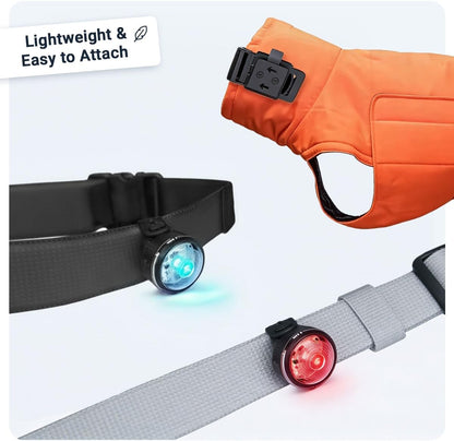 PAJ Light LED Dog Collar for Medium & Large Dogs