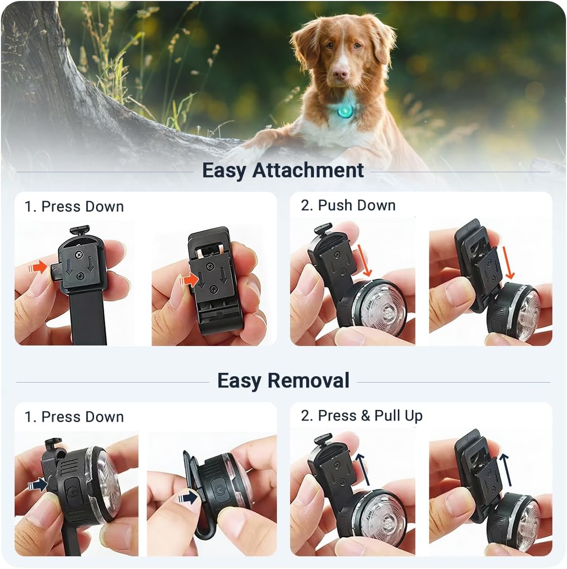 PAJ Light LED Dog Collar for Medium & Large Dogs