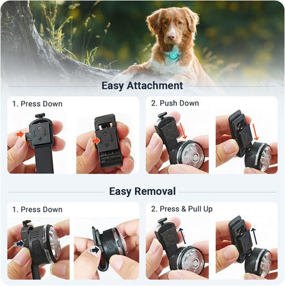 PAJ Light LED Dog Collar for Medium & Large Dogs