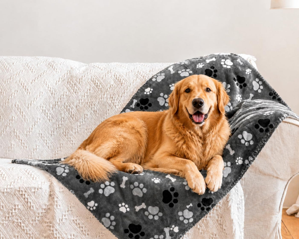 Waterproof Dog Blanket, Pattern Printing Super Soft Warm Fluffy Facecloth Sofa Car Bed Protector, Urine Proof Washable Outdoor Pet Blanket for Puppy Large Dogs & Cats(paw & Bone40*30)