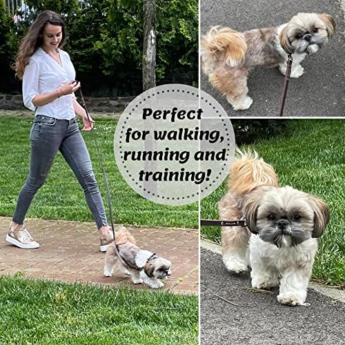 Leather Dog Leash for Small & Medium Dogs, 6ft x 1/2"