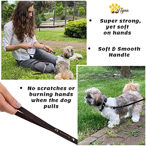 Leather Dog Leash for Small & Medium Dogs, 6ft x 1/2"