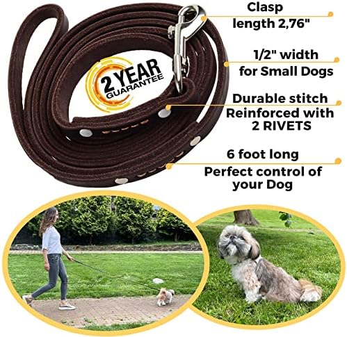 Leather Dog Leash for Small & Medium Dogs, 6ft x 1/2"