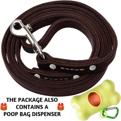 Leather Dog Leash for Small & Medium Dogs, 6ft x 1/2"