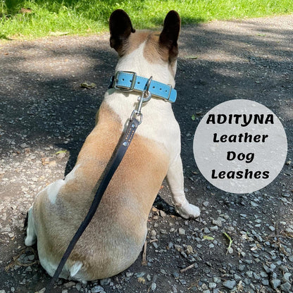 Leather Dog Leash for Small & Medium Dogs, 6ft x 1/2"