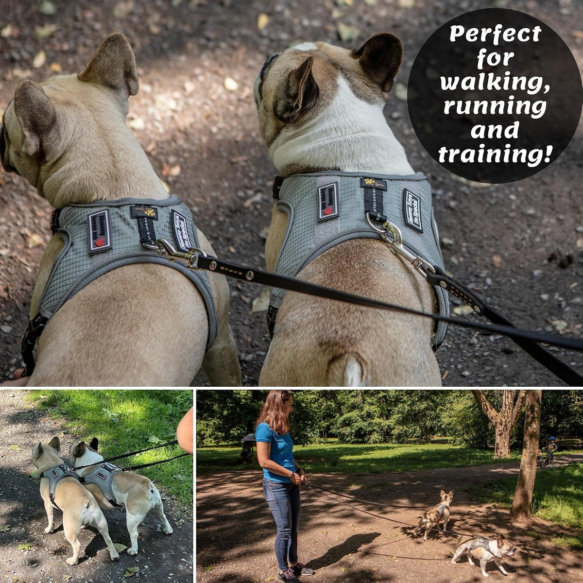 Leather Dog Leash for Small & Medium Dogs, 6ft x 1/2"