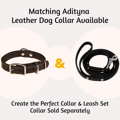 Leather Dog Leash for Small & Medium Dogs, 6ft x 1/2"