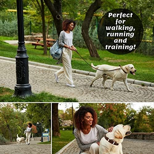 Leather Dog Leash for Small & Medium Dogs, 6ft x 1/2"