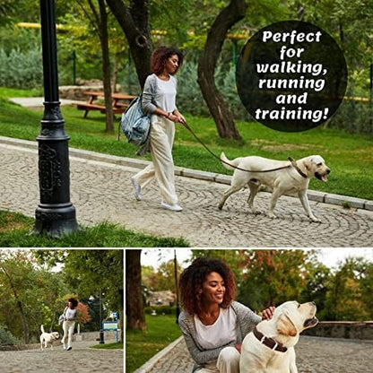 Leather Dog Leash for Small & Medium Dogs, 6ft x 1/2"