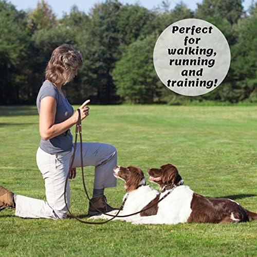 Leather Dog Leash for Small & Medium Dogs, 6ft x 1/2"