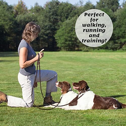 Leather Dog Leash for Small & Medium Dogs, 6ft x 1/2"
