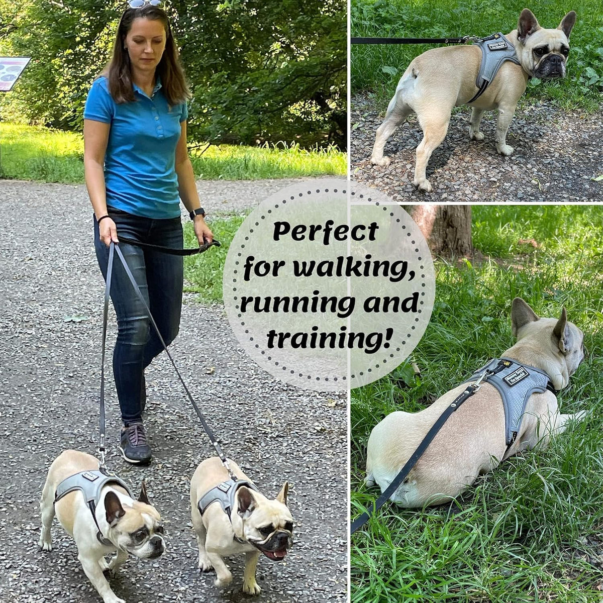Leather Dog Leash for Small & Medium Dogs, 6ft x 1/2"