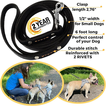 Leather Dog Leash for Small & Medium Dogs, 6ft x 1/2"