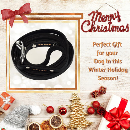 Leather Dog Leash for Small & Medium Dogs, 6ft x 1/2"