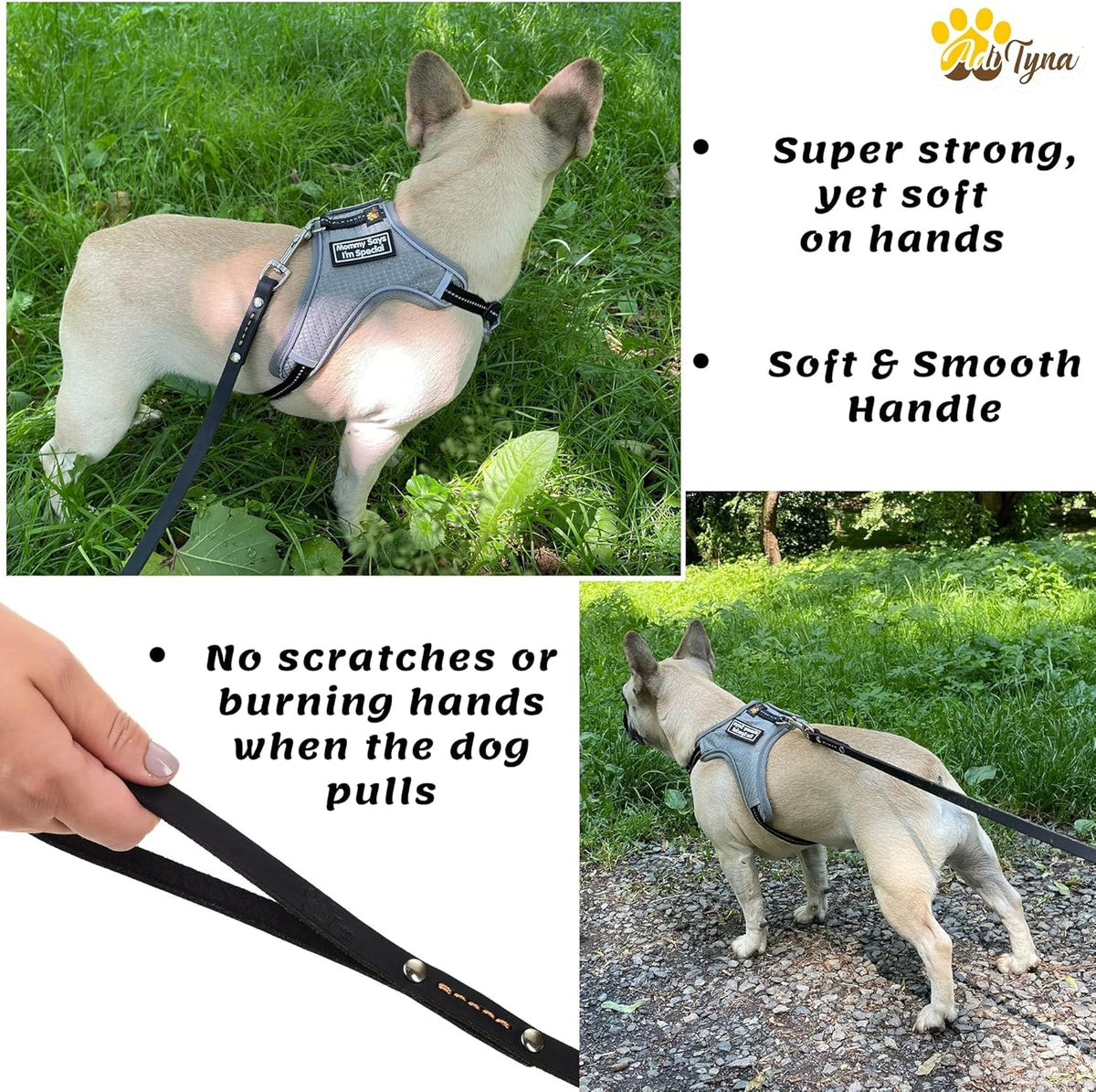Leather Dog Leash for Small & Medium Dogs, 6ft x 1/2"