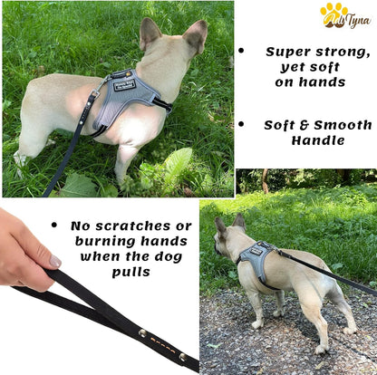 Leather Dog Leash for Small & Medium Dogs, 6ft x 1/2"