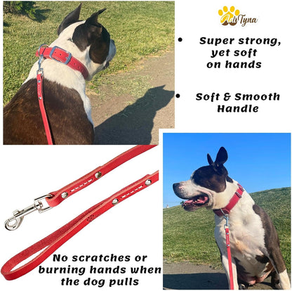 Leather Dog Leash for Small & Medium Dogs, 6ft x 1/2"