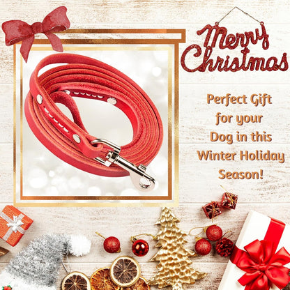 Leather Dog Leash for Small & Medium Dogs, 6ft x 1/2"