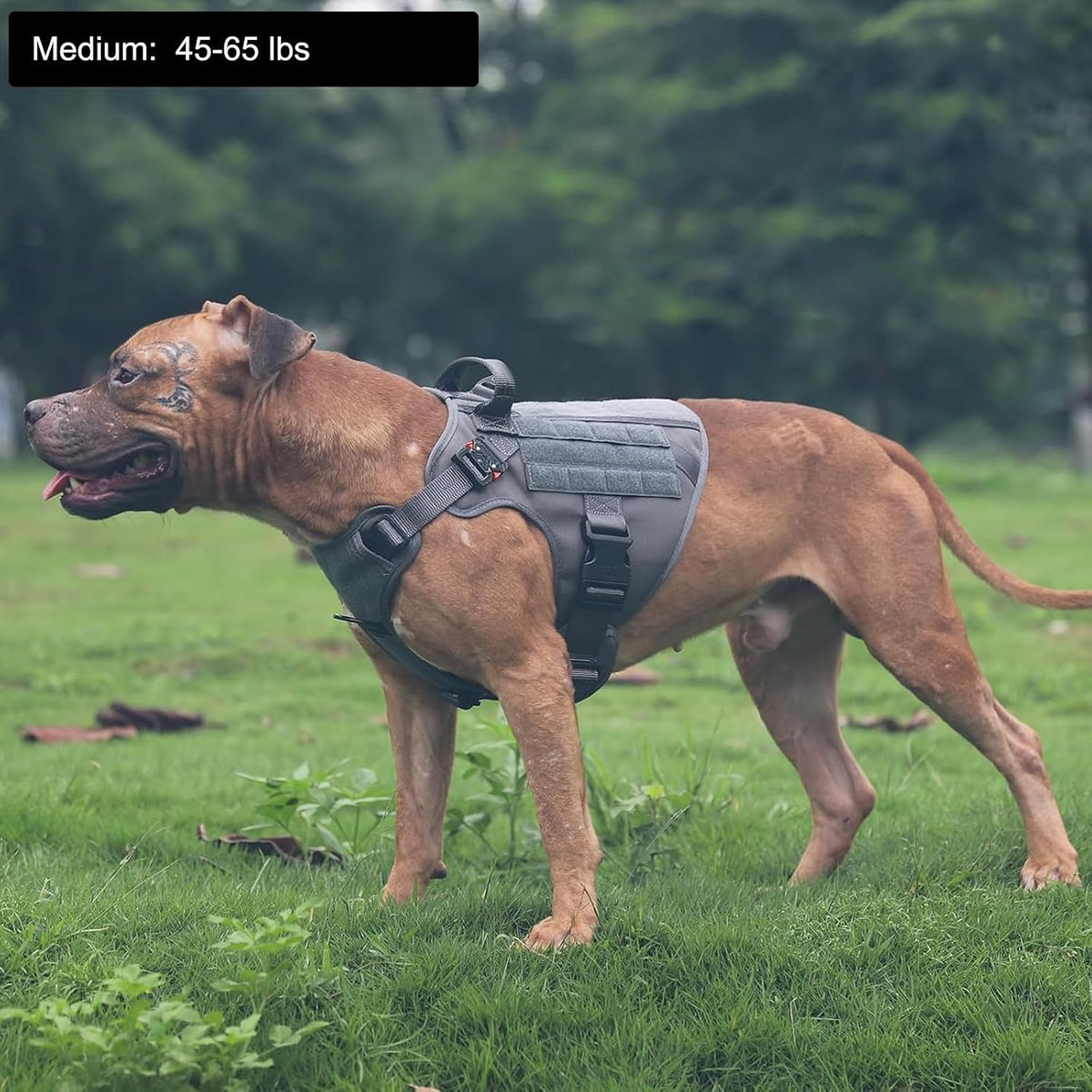 ICEFANG Tactical Dog Harness for Large Dogs,Reflective No Pull Dog Vest