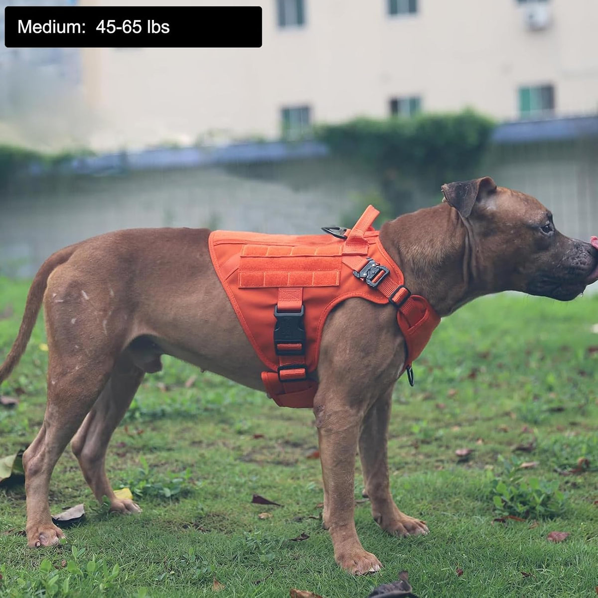ICEFANG Tactical Dog Harness for Large Dogs,Reflective No Pull Dog Vest