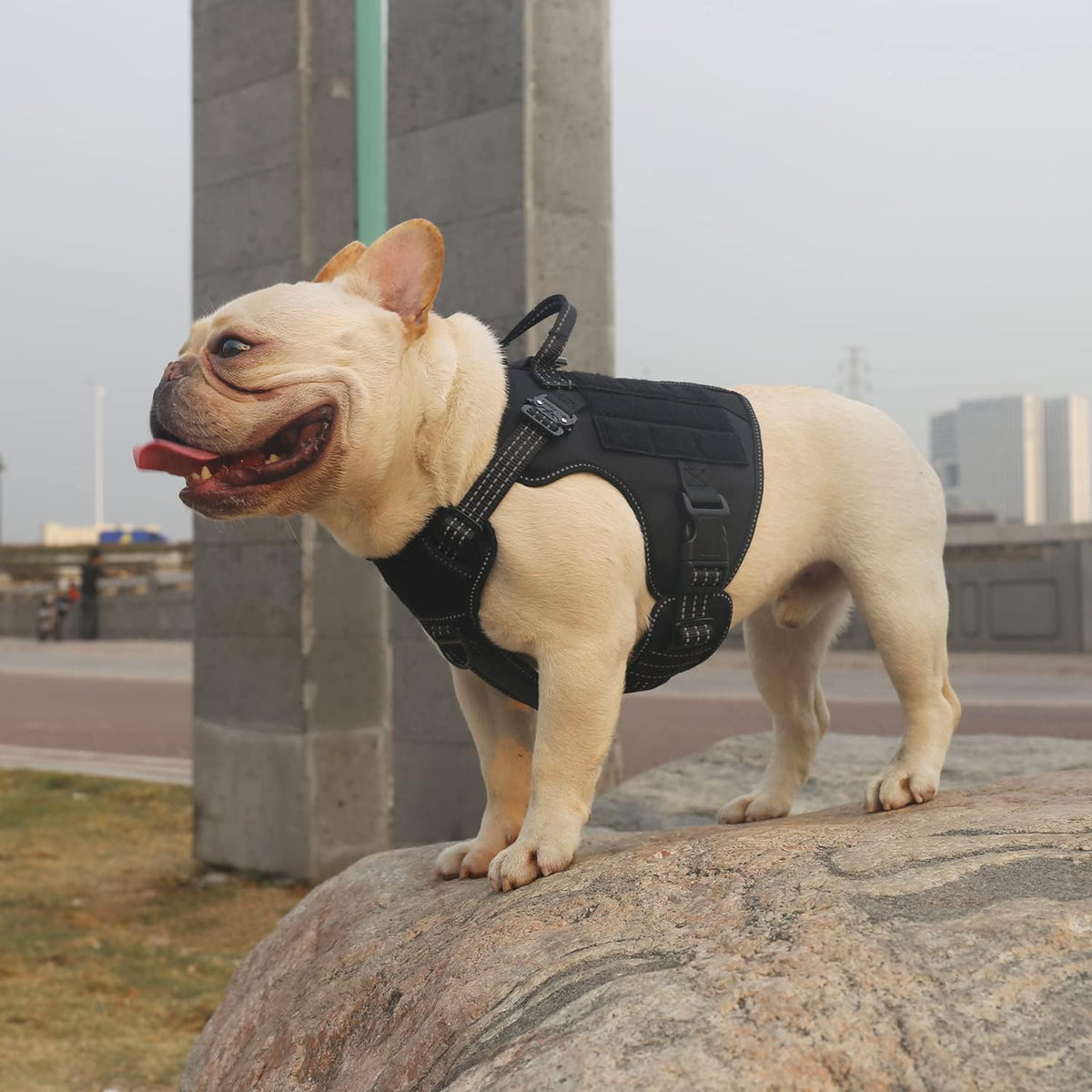 ICEFANG Tactical Dog Harness for Large Dogs,Reflective No Pull Dog Vest