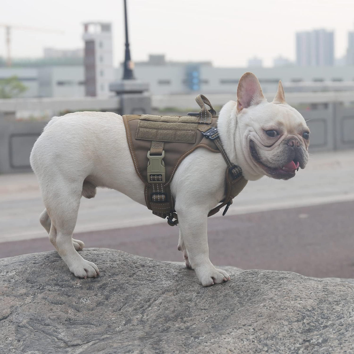 ICEFANG Tactical Dog Harness for Large Dogs,Reflective No Pull Dog Vest