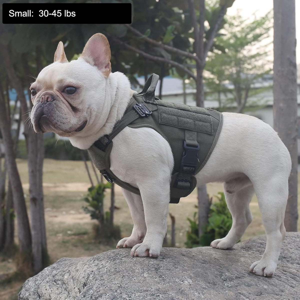 ICEFANG Tactical Dog Harness for Large Dogs,Reflective No Pull Dog Vest